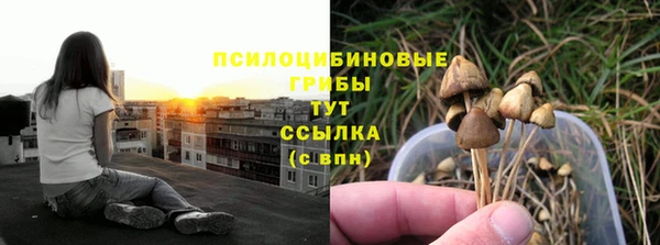 круглые Алексин