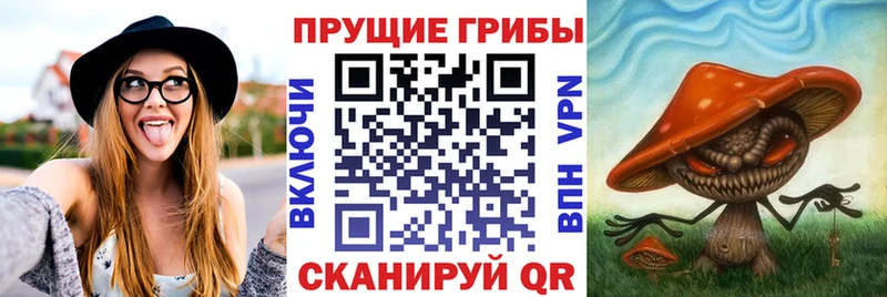 Галлюциногенные грибы MAGIC MUSHROOMS Вилючинск